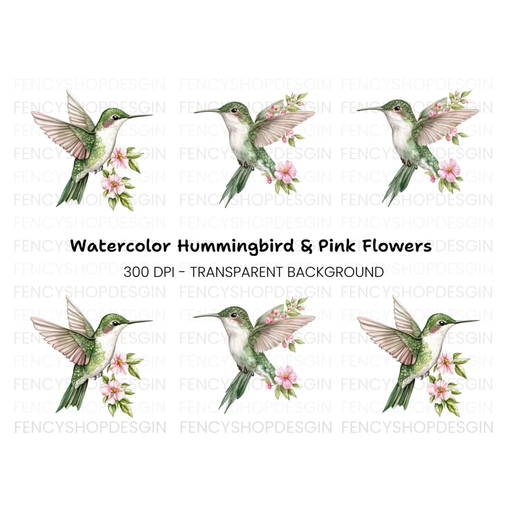 Hummingbird with Pink Flowers Clipart Bundle