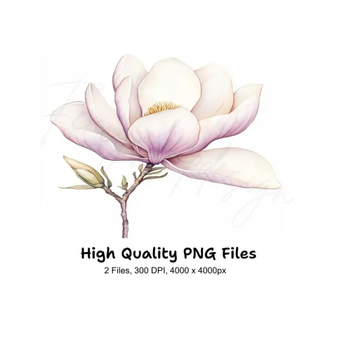 Elegant Magnolia Clipart Bundle