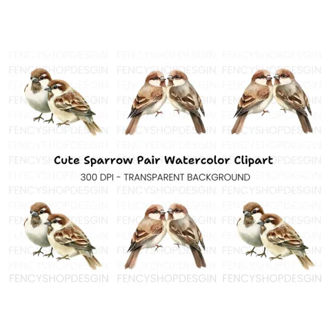 Cute Sparrow Pairs Clipart Bundle