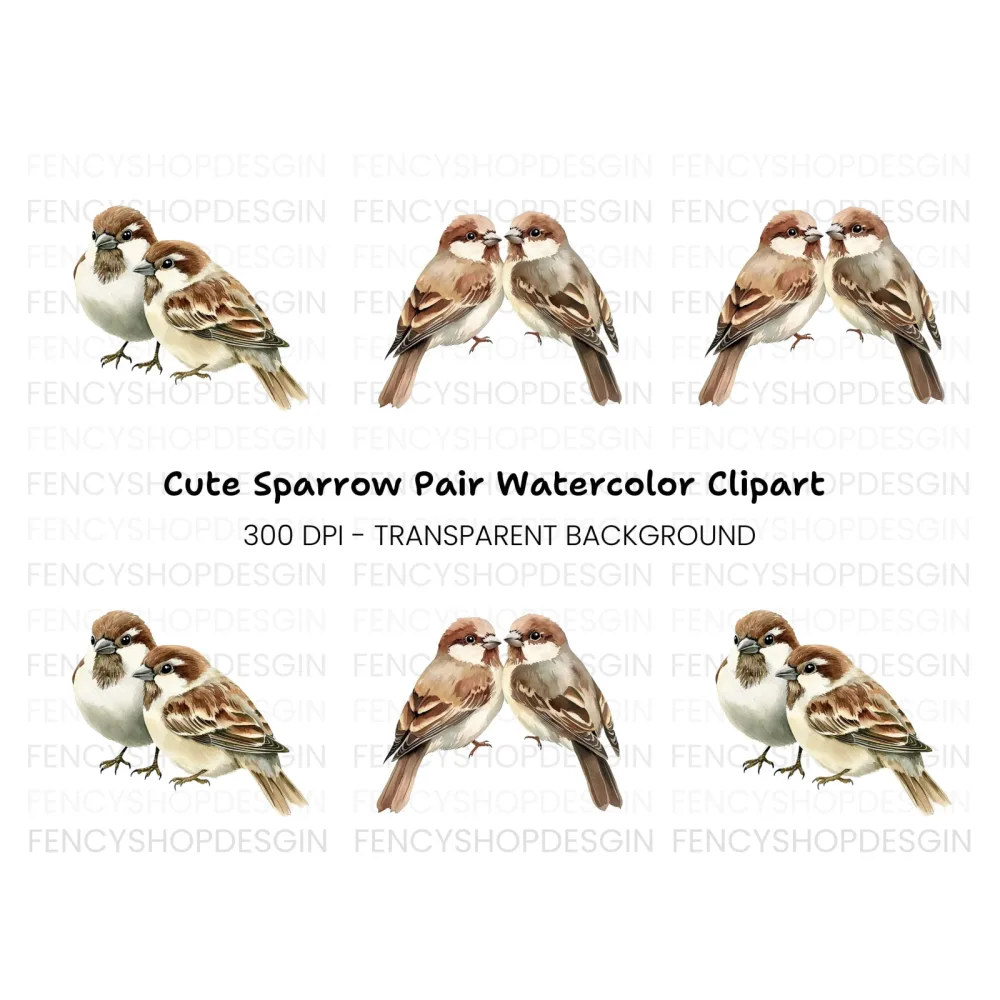 Cute Sparrow Pairs Clipart Bundle