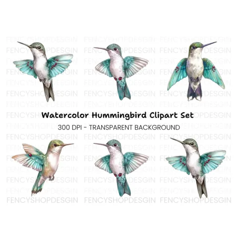 Hummingbird Clipart Bundle