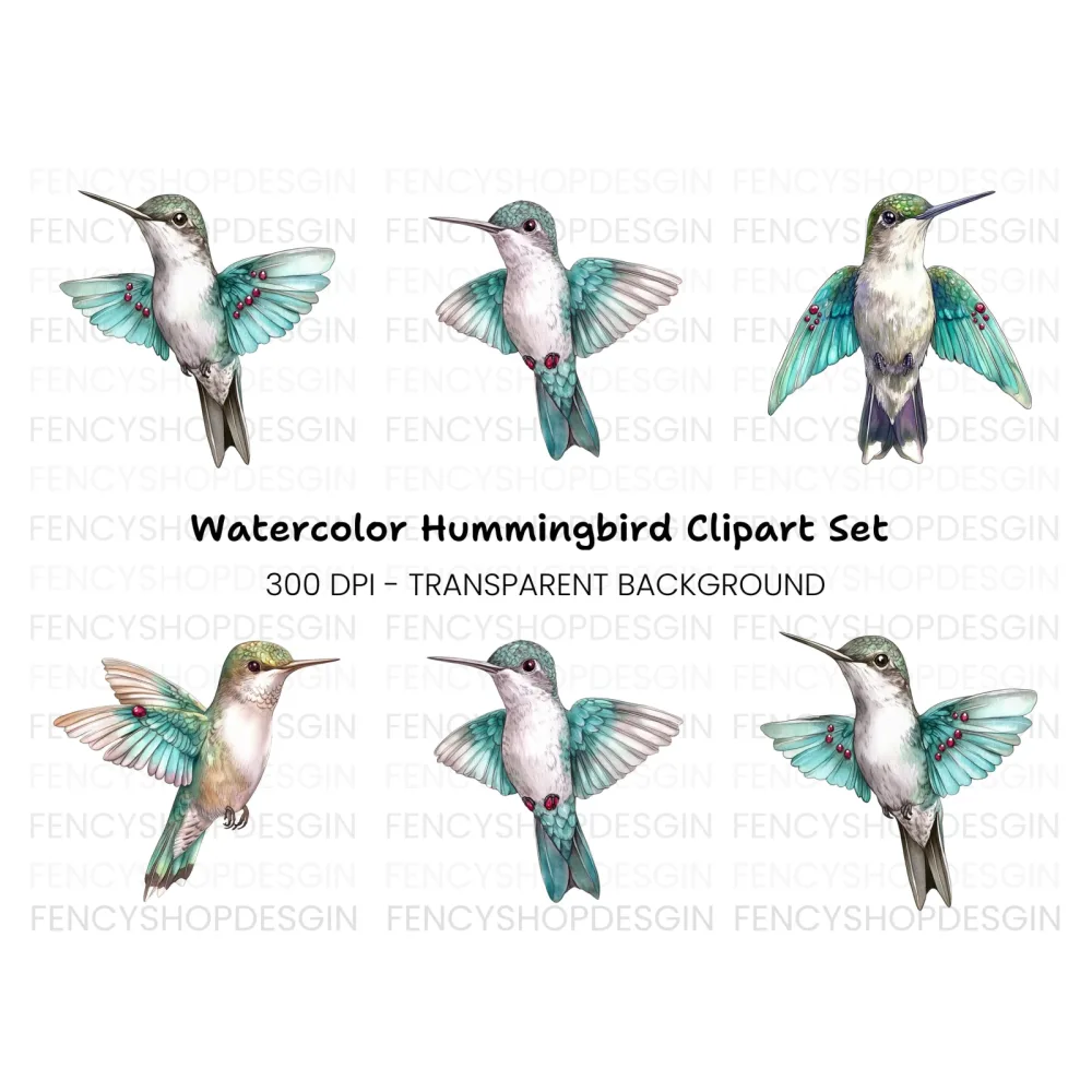 Hummingbird Clipart Bundle