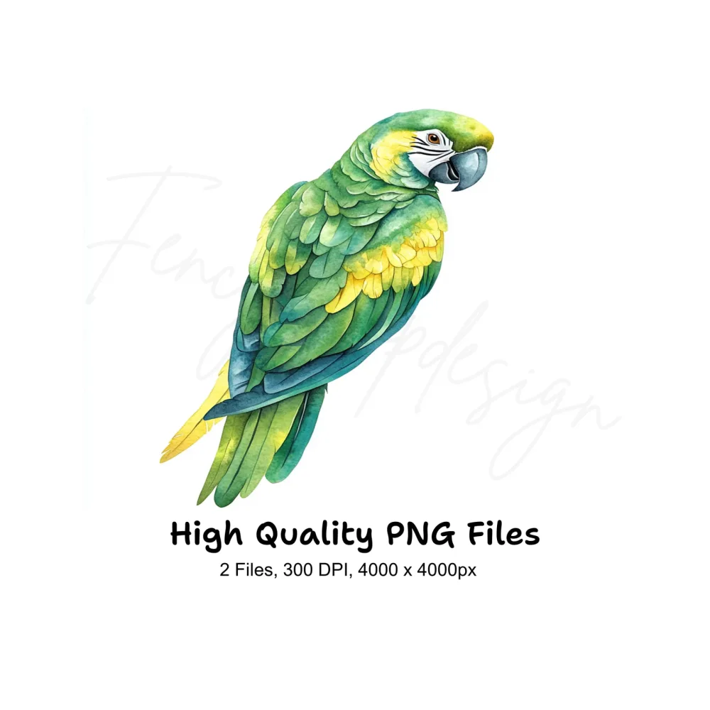 Vibrant Parrot Clipart Bundle