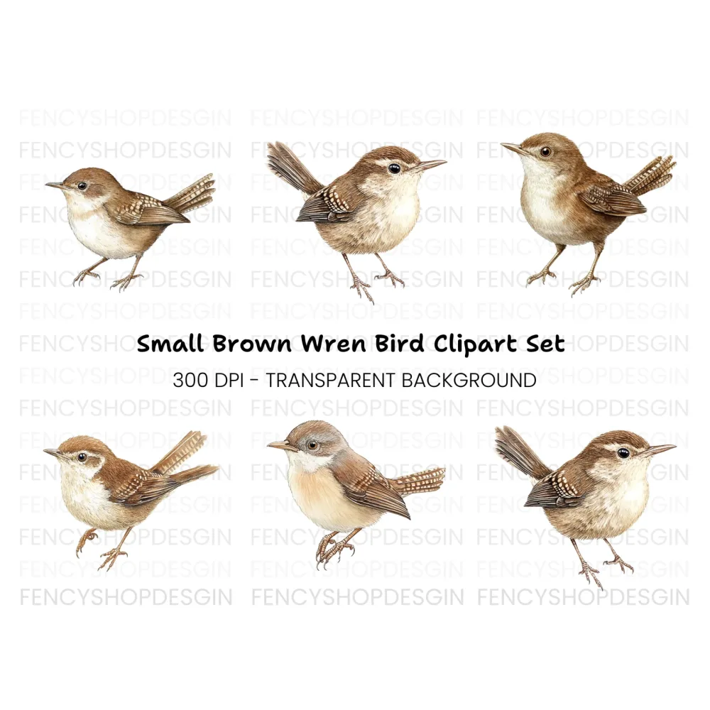 Charming Brown Wren Bird Clipart Bundle