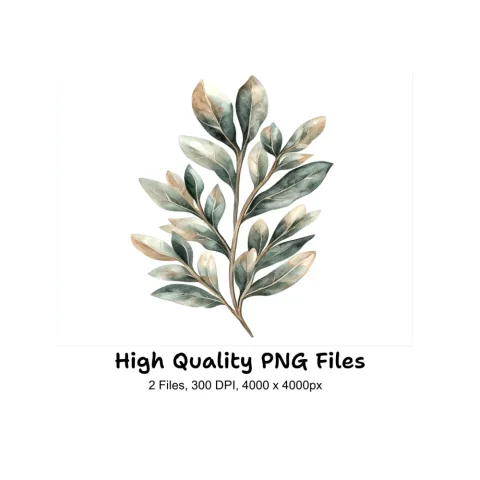 Botanical Leaves Clipart Bundle