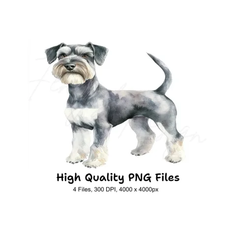 Miniature Schnauzer Clipart Bundle