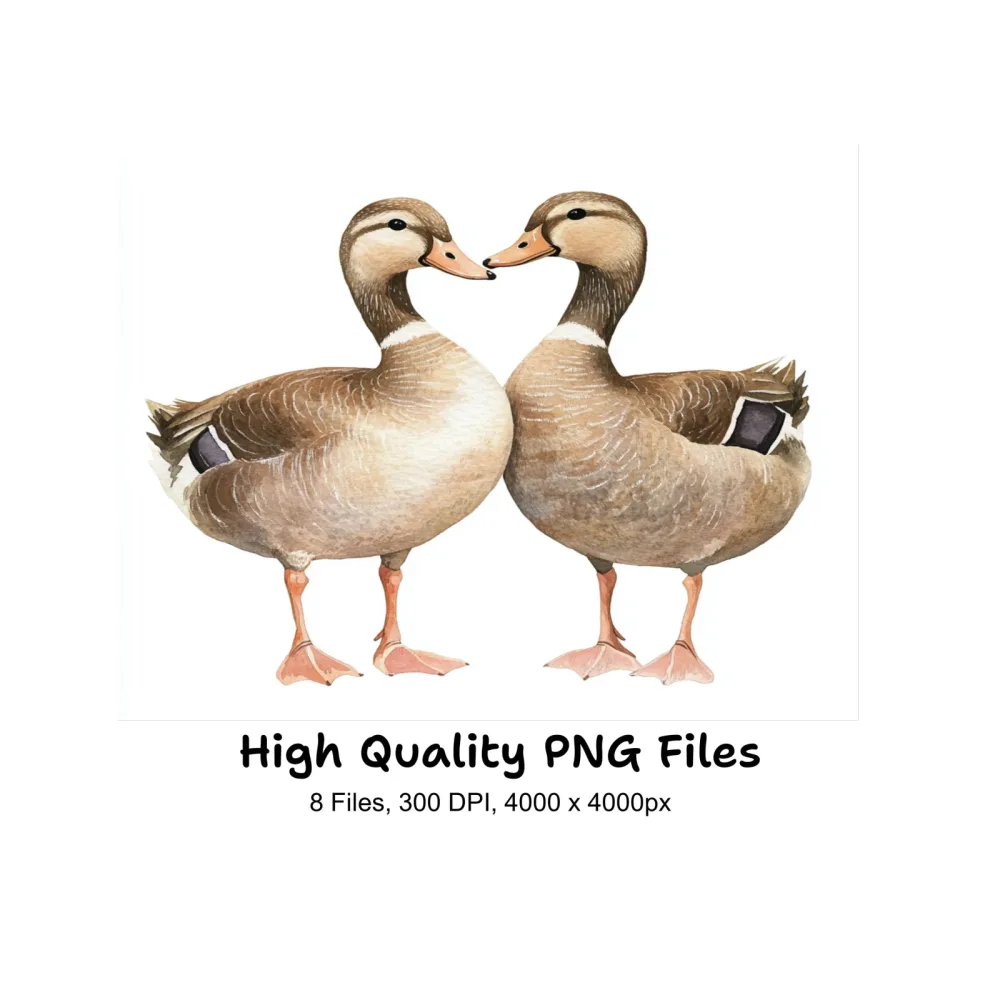 Cute Duckling Pair Clipart Bundle