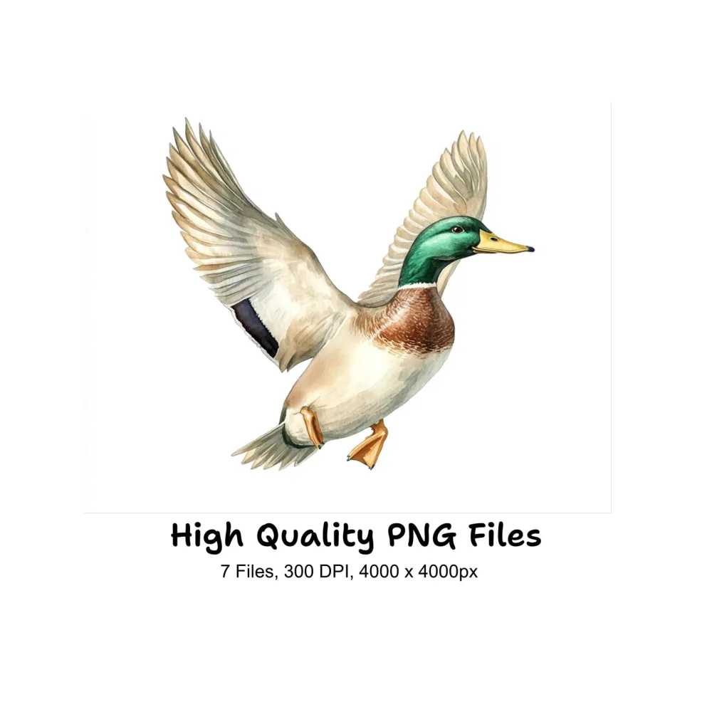 Flying Mallard Ducks Clipart Bundle