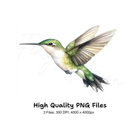 Graceful Hummingbirds Clipart Bundle