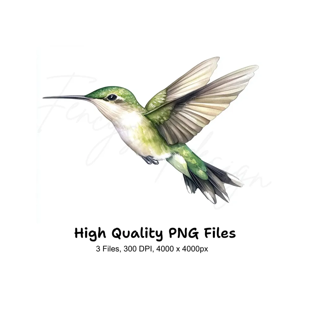 Graceful Hummingbirds Clipart Bundle