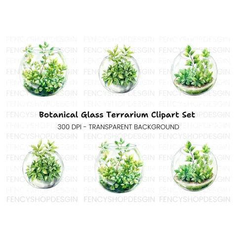 Terrarium Clipart Bundle