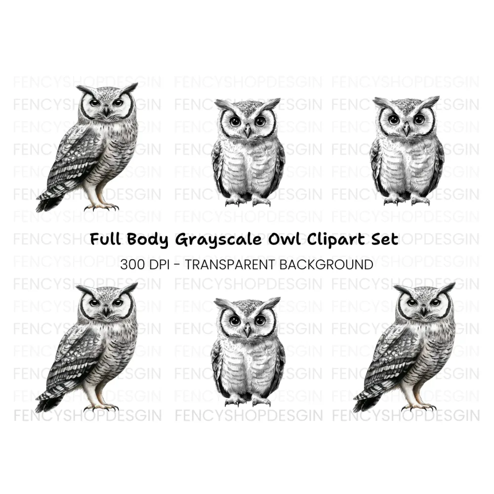 Wise Owl Clipart Bundle