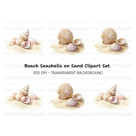 Beautiful Seashells on Sand Clipart Bundle