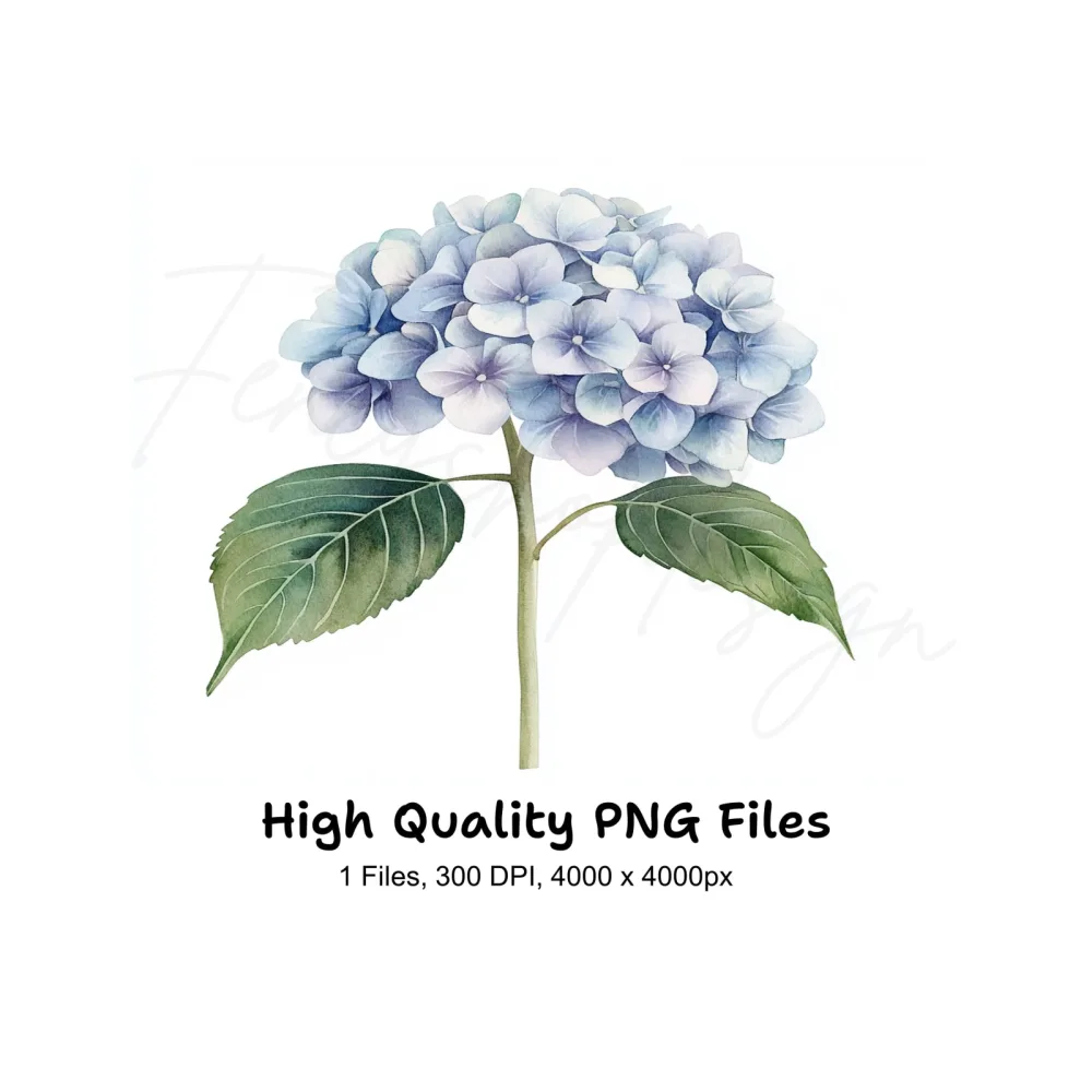 Blue Hydrangea Clipart Bundle