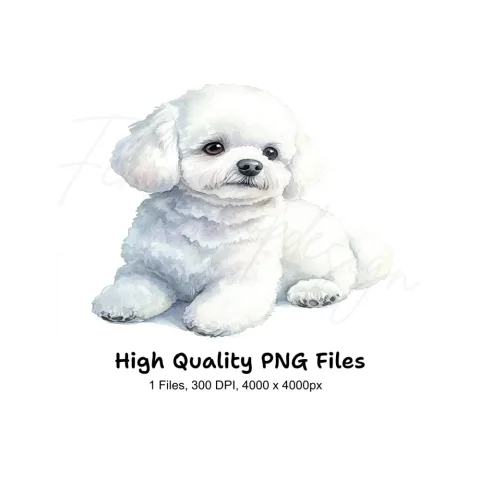 Cute Bichon Frise Puppy Clipart Bundle