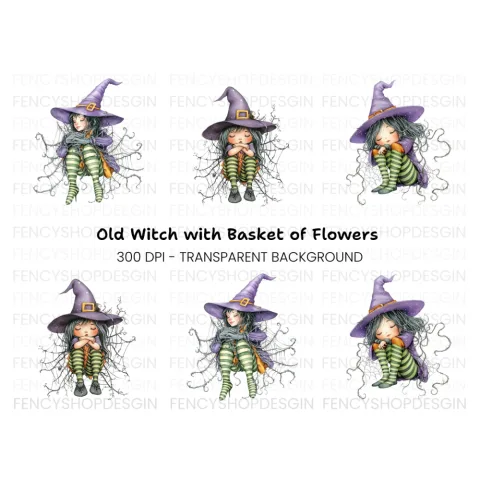 Sleeping Witches in Spiderwebs Clipart Bundle