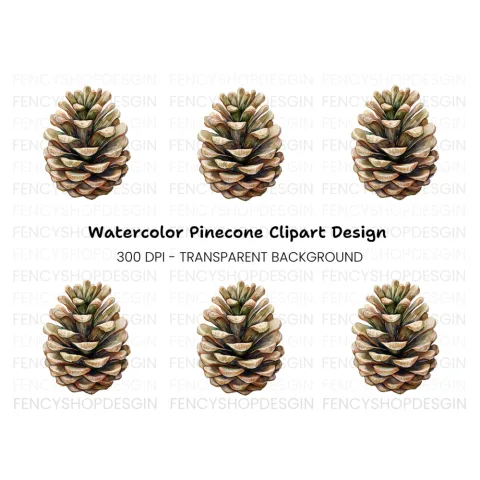 Realistic Pine Cone Clipart Bundle