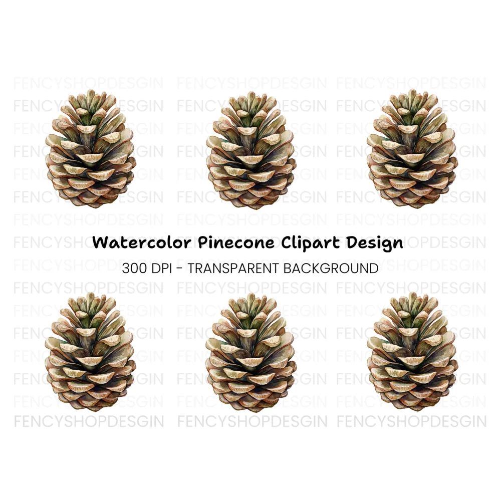 Realistic Pine Cone Clipart Bundle