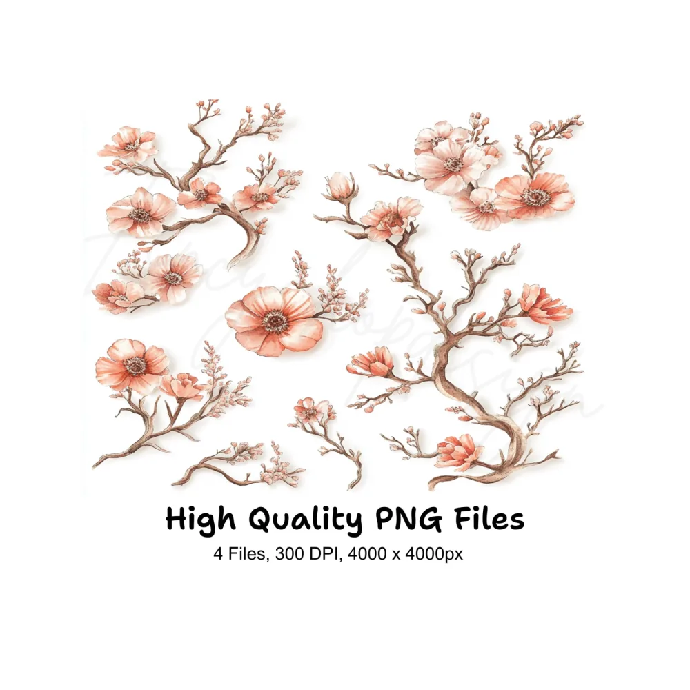 Peach Blossom Clipart Bundle