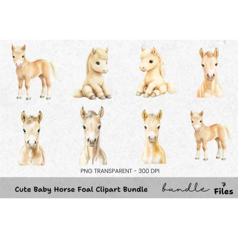 Cute Baby Horse Foal Clipart Bundle