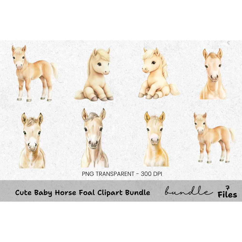 Cute Baby Horse Foal Clipart Bundle