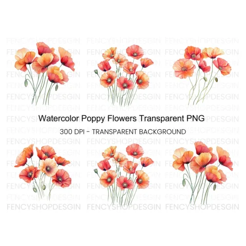 Poppy Flower Clipart Bundle