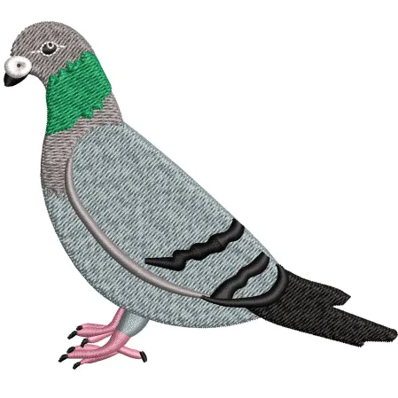 Pigeon Embroidery Design