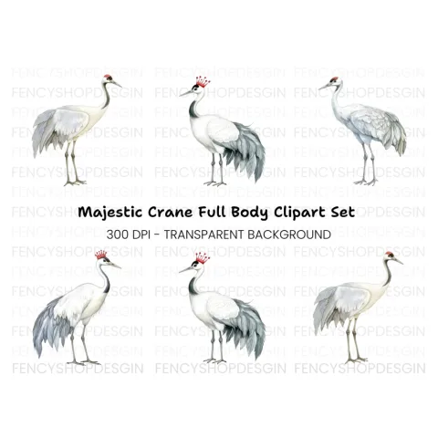 Majestic Crowned Cranes Clipart Bundle