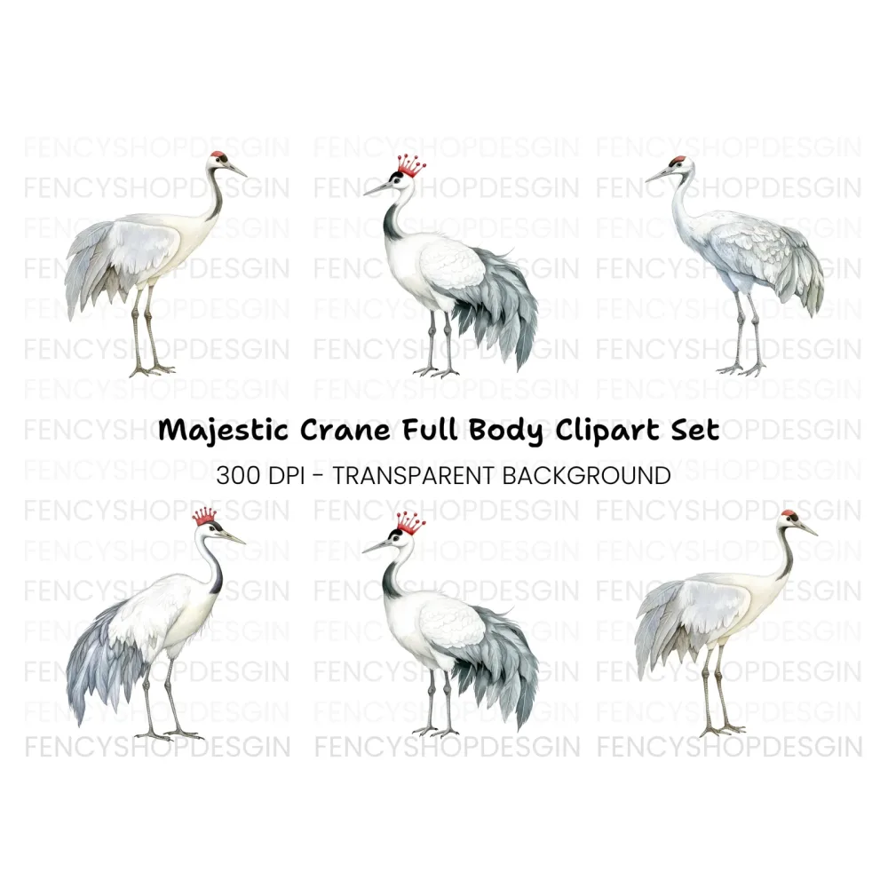 Majestic Crowned Cranes Clipart Bundle