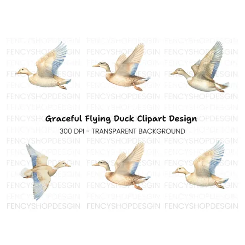 Flying White Ducks Clipart Bundle