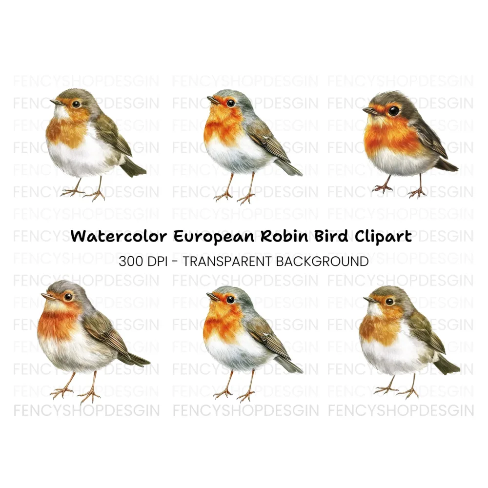 Cute Robin Bird Clipart Bundle