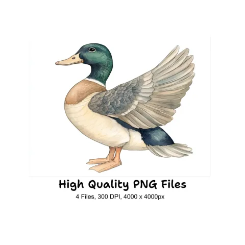 Cute Duck Clipart Bundle