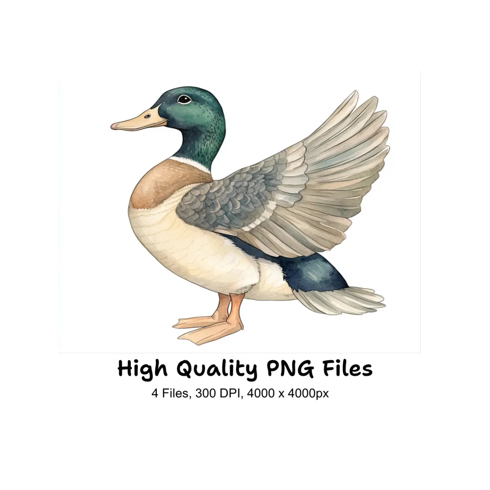 Cute Duck Clipart Bundle