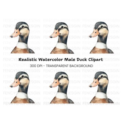 Cute Duckling Clipart Bundle