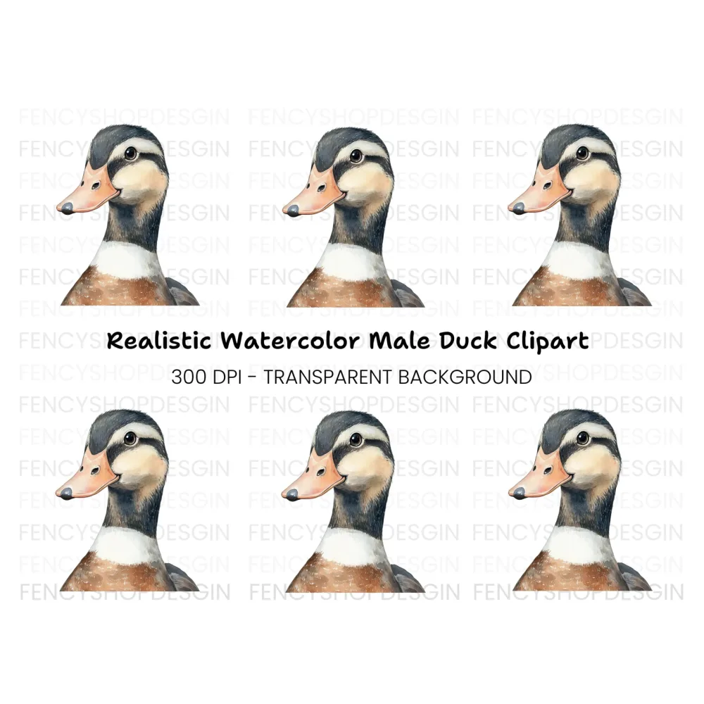 Cute Duckling Clipart Bundle