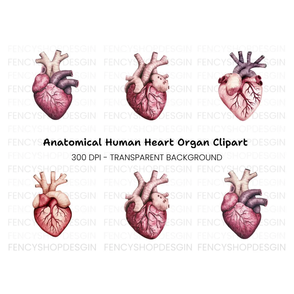 Vibrant Human Heart Clipart Bundle