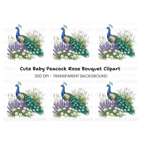 Peacock with Lavender and Daisies Clipart Bundle