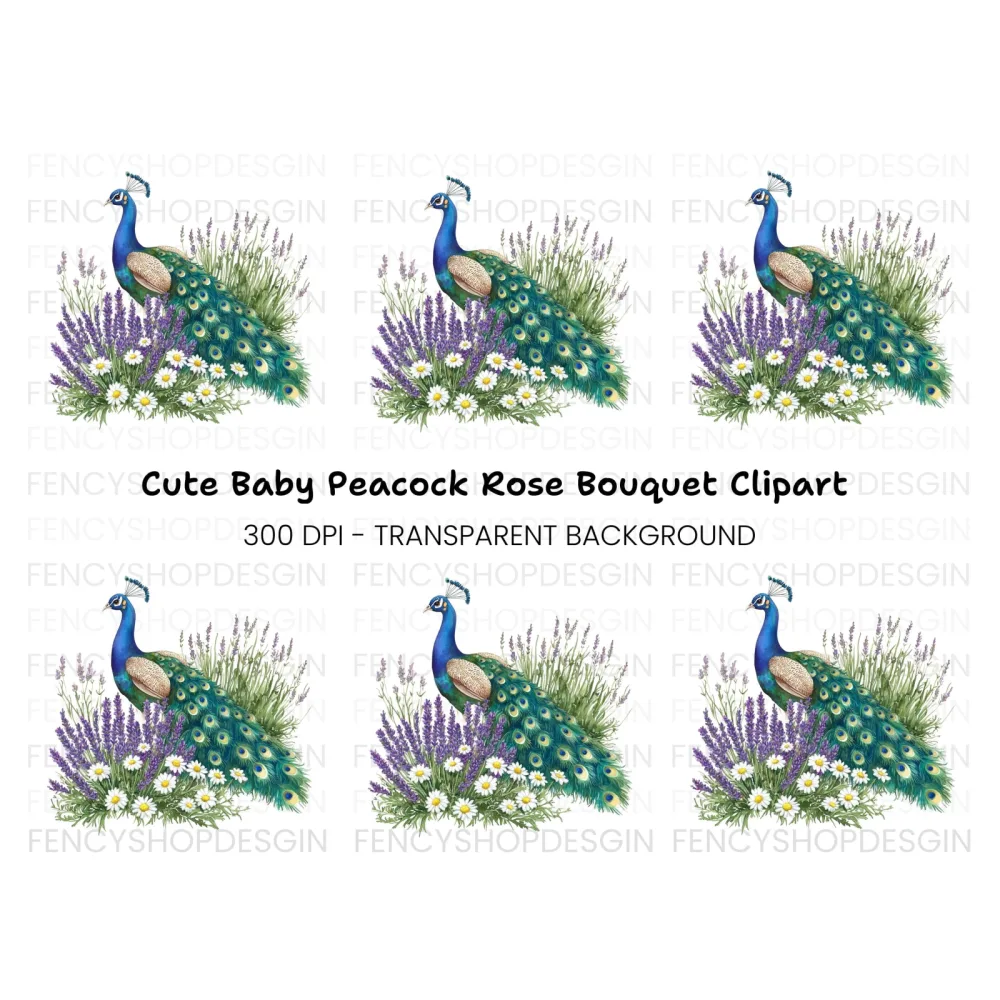Peacock with Lavender and Daisies Clipart Bundle