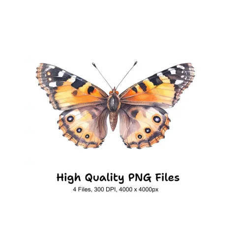 Butterfly Clipart Bundle