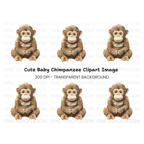 Adorable Baby Monkey Clipart Bundle