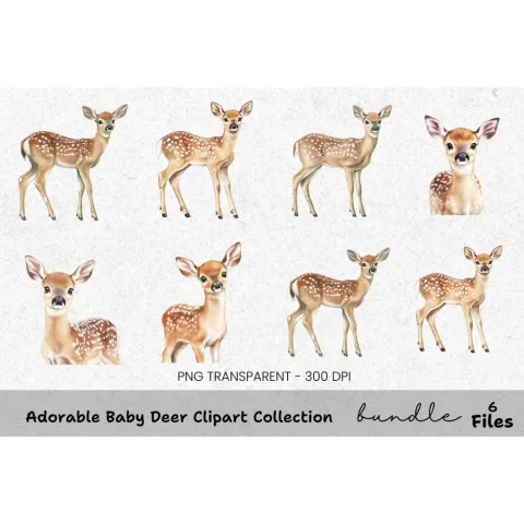 Adorable Baby Deer Clipart Bundle