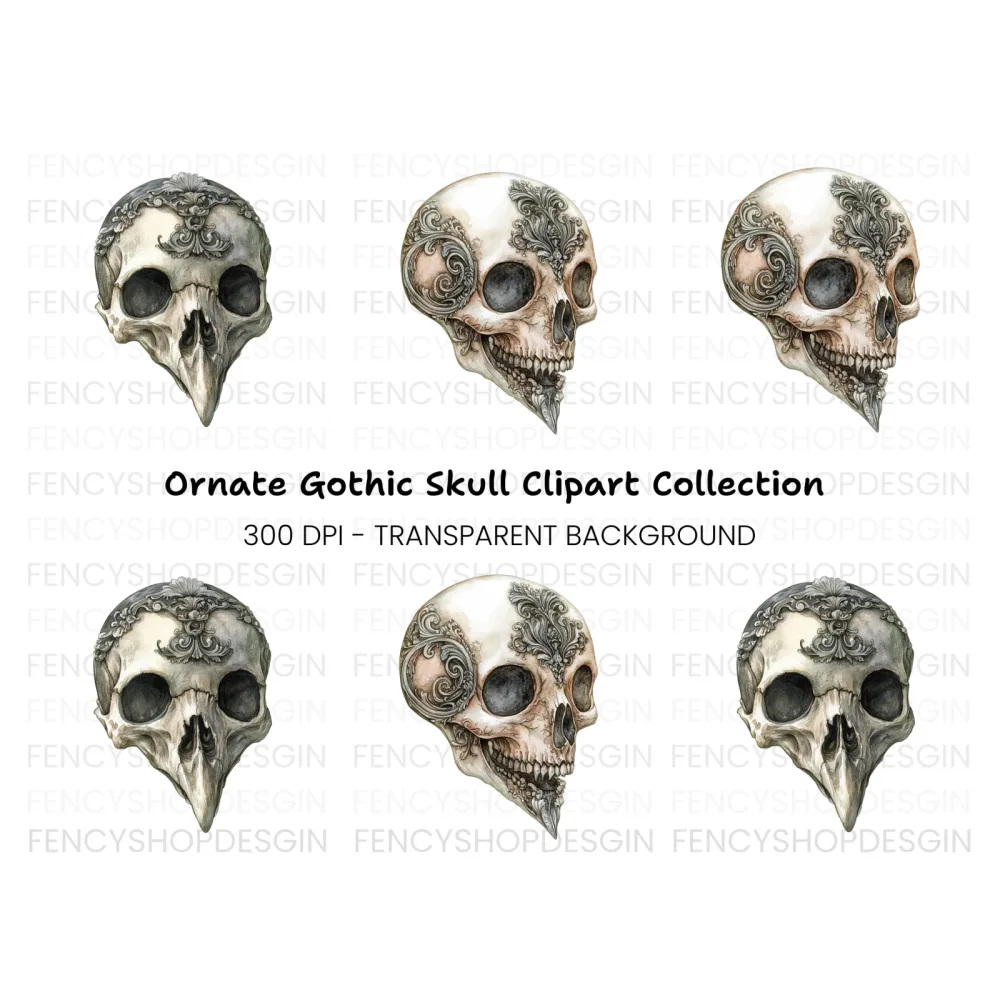 Ornate Bird Skull Clipart Bundle