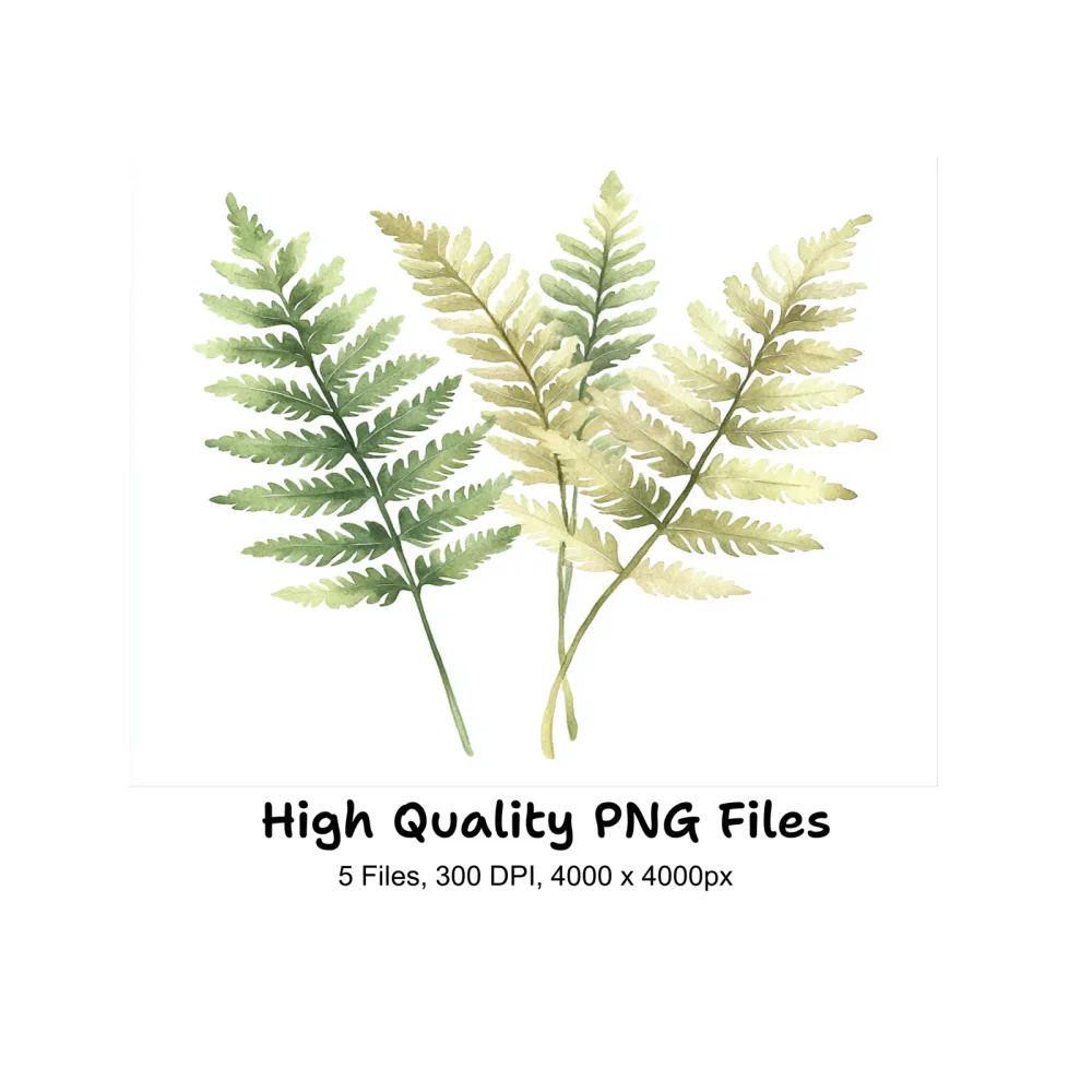 Fern Leaves Clipart Bundle