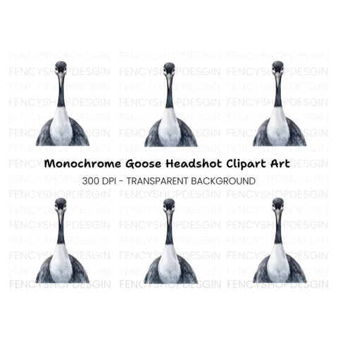 Striking Crane Head Clipart Bundle
