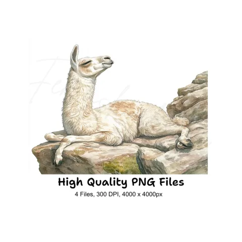 Llama on Rocks Clipart Bundle