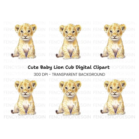 Sweet Lion Cub Illustration Clipart Bundle