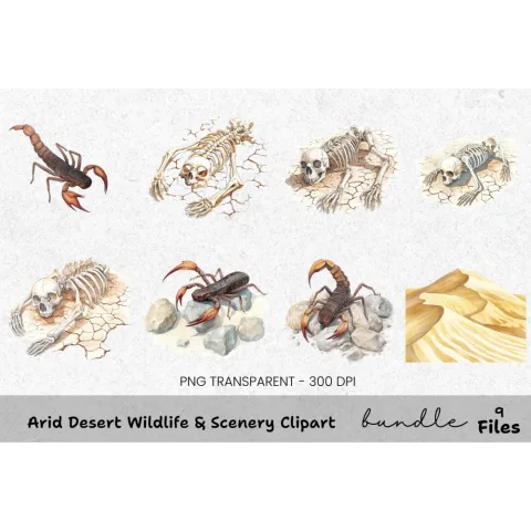 Arid Desert Wildlife Scenery Clipart Bundle