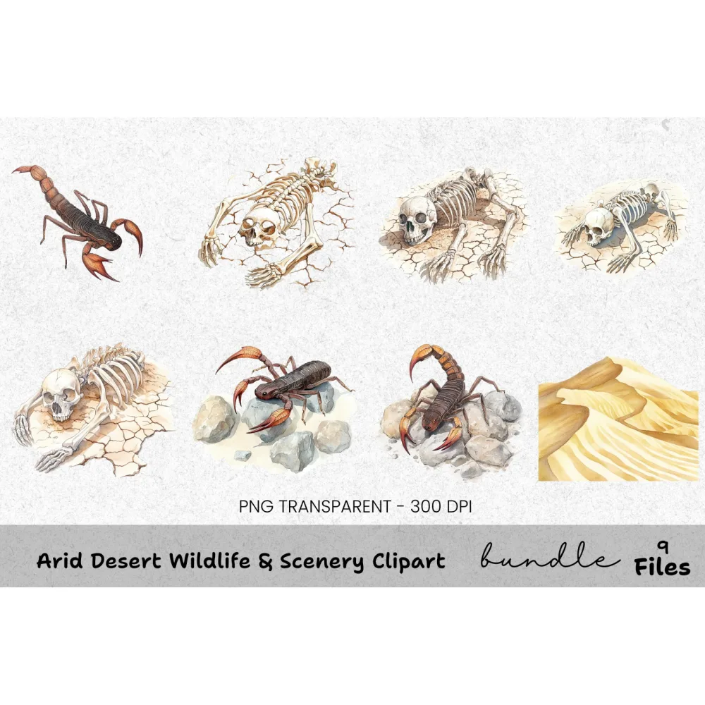 Arid Desert Wildlife Scenery Clipart Bundle