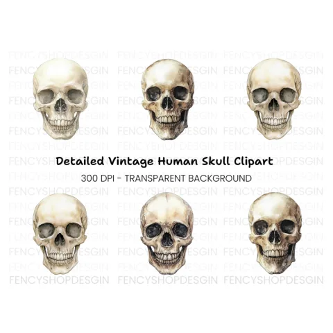 Human Skull Clipart Bundle
