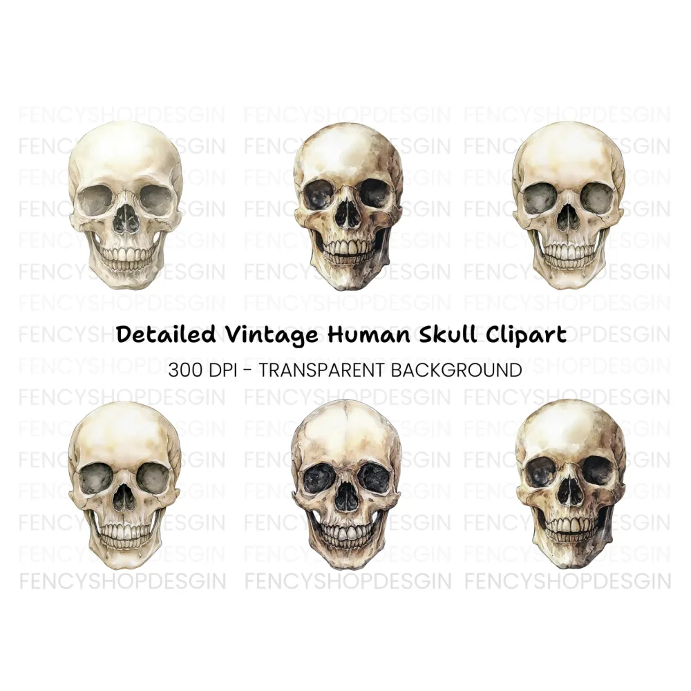 Human Skull Clipart Bundle